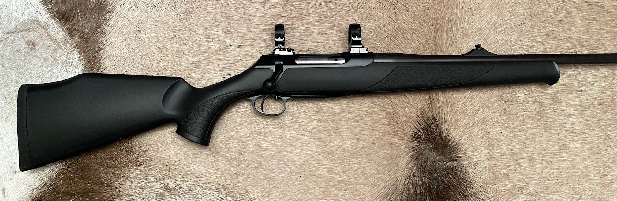 J.P. Sauer 202 - .243 Winchester